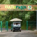 Gran inauguración del Naturalia este domingo: Cuitláhuac García